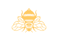 Amber & Opal Spirits